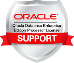 Oracle Database Enterprise Edition Processor License support