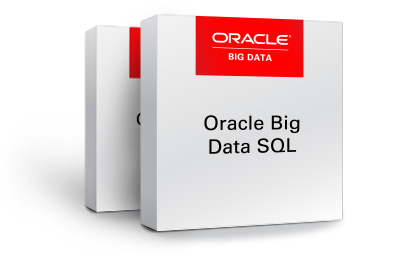 Oracle Big Data SQL