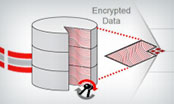 Oracle Database Security