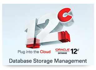 Database Storage Management